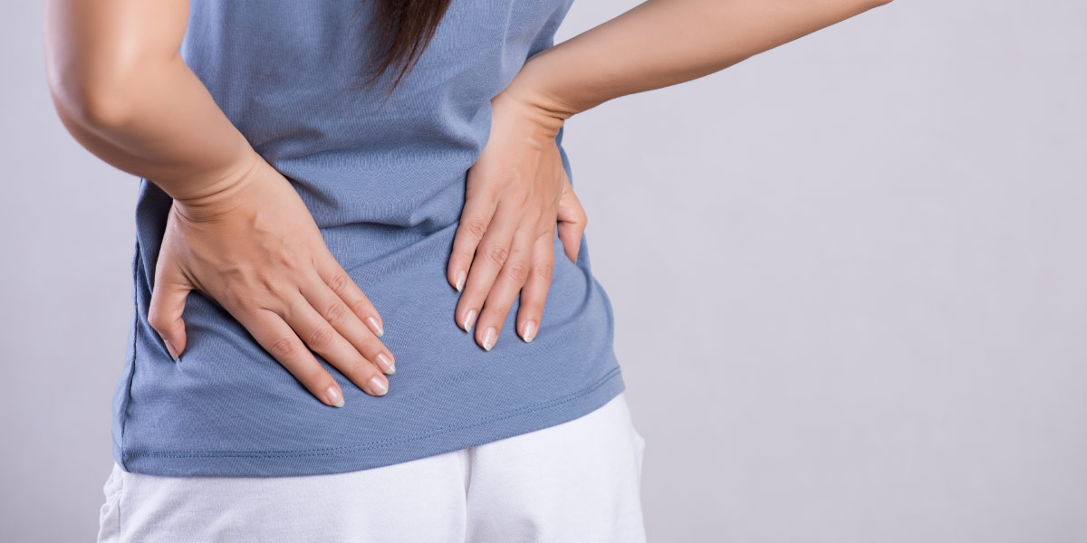 Затылок живот. Pelvic Pain. Back Pain. International Pelvic Pain Society.