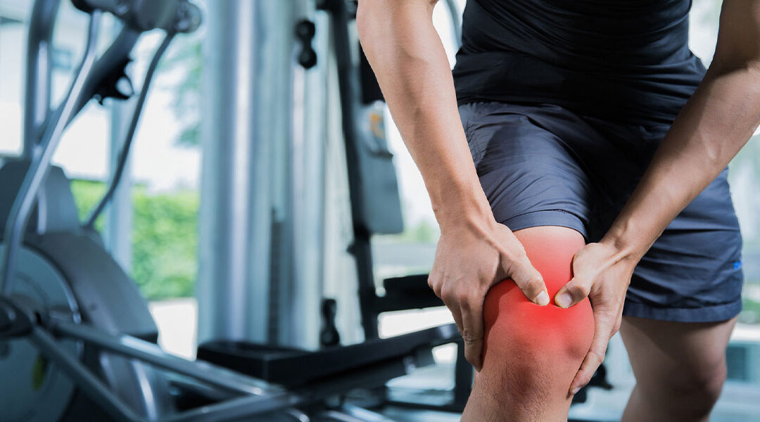 The 6 Main Knee Ligaments and How They Work
